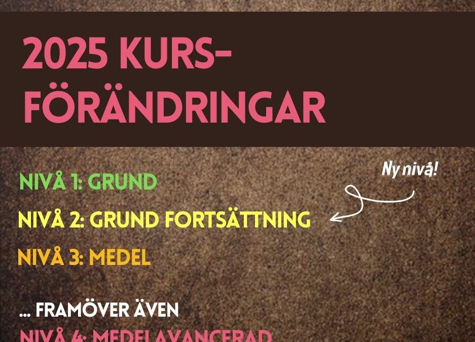 Spännande nyheter i Lindustrys kursutbud 2025!